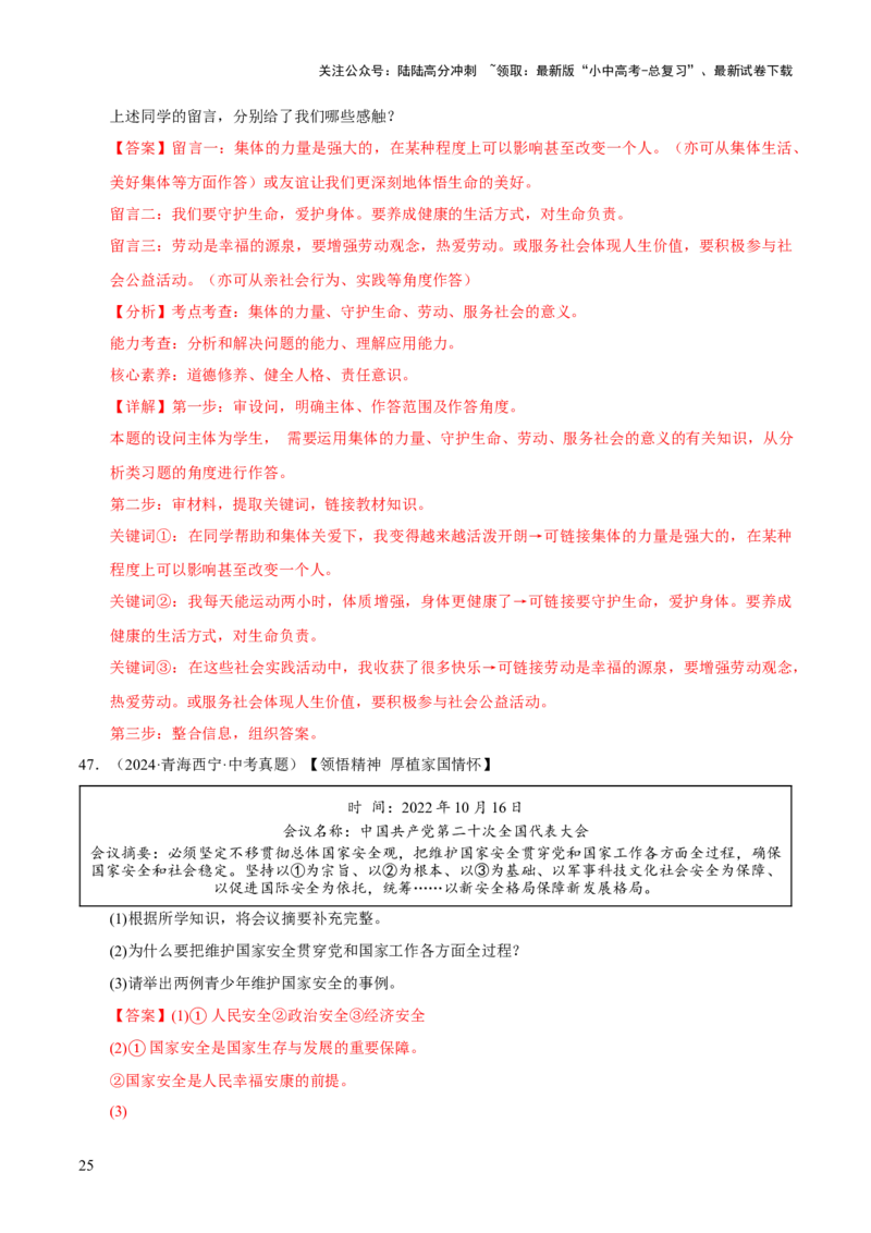 专题12维护国家利益（解析版）_02中考总复习（2026版更新中）_07-道法-中考总复习_2026年中考复习（更新中）_好题汇编三年（2023-2025）中考道德与法治真题分类汇编（全国通用）