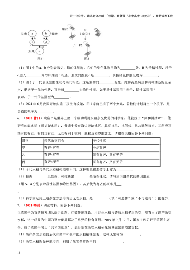 专题13&nbsp;生物的遗传和变异（原卷版）_02中考总复习（2026版更新中）_08-生物-中考总复习_2024年中考复习资料_专项复习_完三年（2021-2023）中考生物真题分项汇编（全国通用）