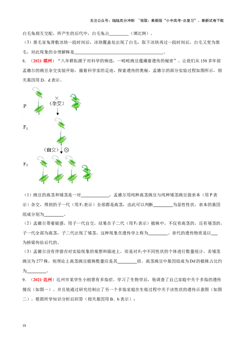 专题13&nbsp;生物的遗传和变异（原卷版）_02中考总复习（2026版更新中）_08-生物-中考总复习_2024年中考复习资料_专项复习_完三年（2021-2023）中考生物真题分项汇编（全国通用）