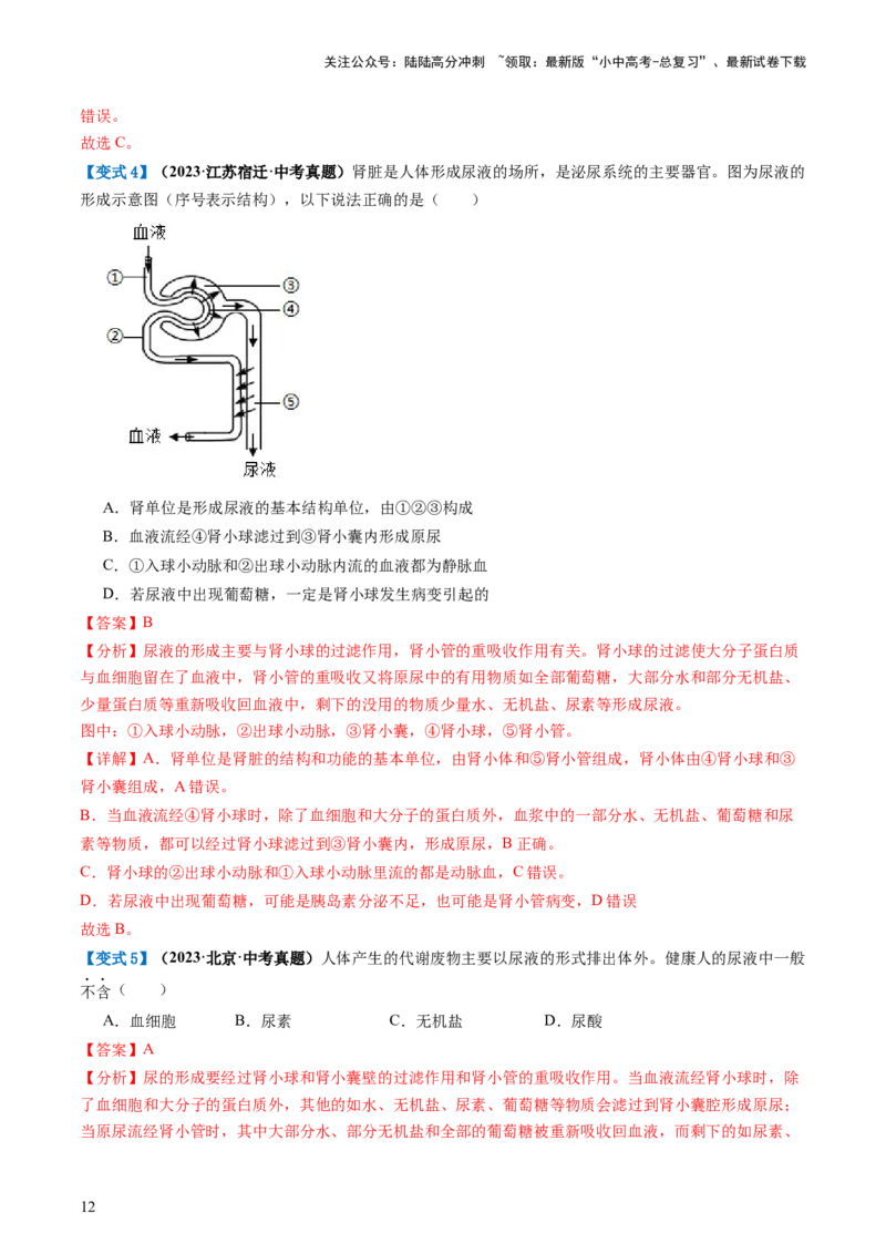 专题13人体内废物的排出（讲义）（解析版）_02中考总复习（2026版更新中）_08-生物-中考总复习_2024年中考复习资料_一轮复习_❤2024年中考生物一轮复习讲练测（全国通用）_讲义