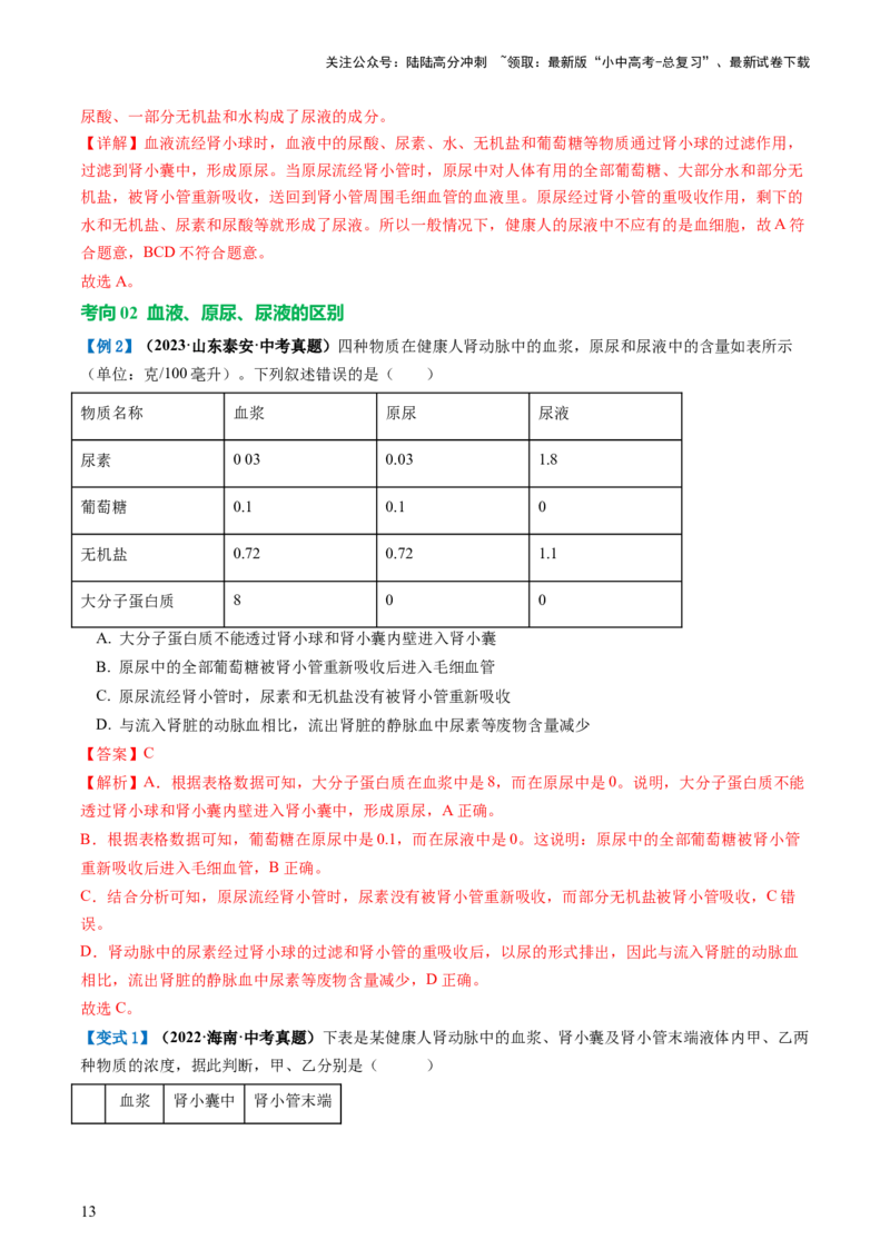 专题13人体内废物的排出（讲义）（解析版）_02中考总复习（2026版更新中）_08-生物-中考总复习_2024年中考复习资料_一轮复习_❤2024年中考生物一轮复习讲练测（全国通用）_讲义