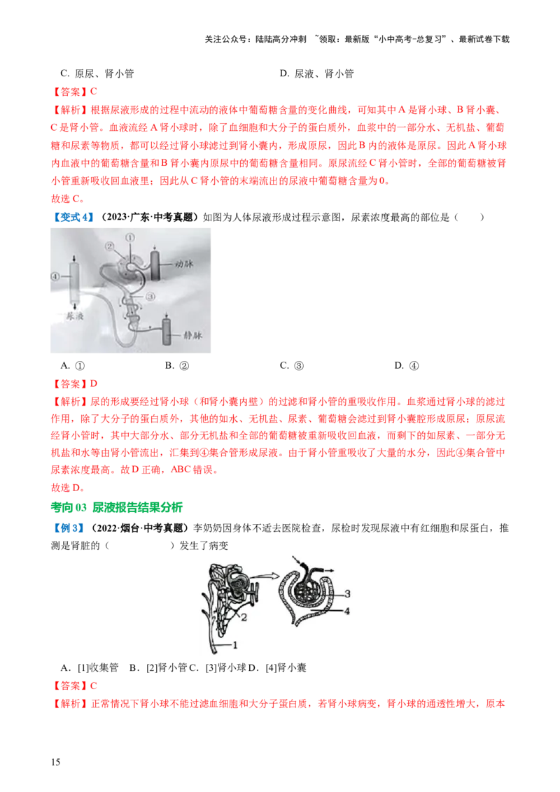 专题13人体内废物的排出（讲义）（解析版）_02中考总复习（2026版更新中）_08-生物-中考总复习_2024年中考复习资料_一轮复习_❤2024年中考生物一轮复习讲练测（全国通用）_讲义