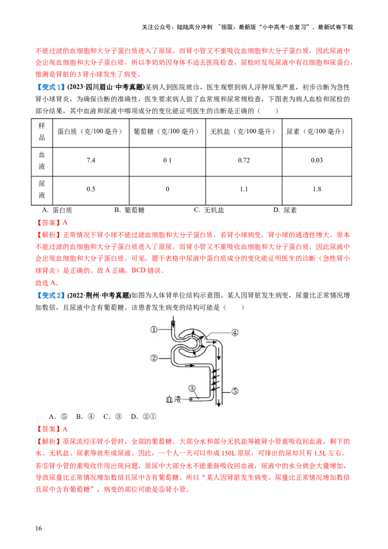 专题13人体内废物的排出（讲义）（解析版）_02中考总复习（2026版更新中）_08-生物-中考总复习_2024年中考复习资料_一轮复习_❤2024年中考生物一轮复习讲练测（全国通用）_讲义