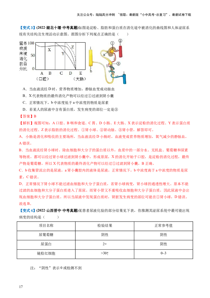 专题13人体内废物的排出（讲义）（解析版）_02中考总复习（2026版更新中）_08-生物-中考总复习_2024年中考复习资料_一轮复习_❤2024年中考生物一轮复习讲练测（全国通用）_讲义