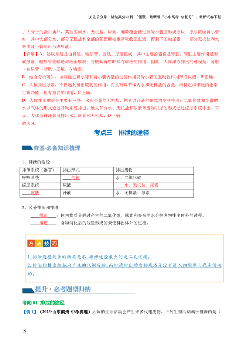 专题13人体内废物的排出（讲义）（解析版）_02中考总复习（2026版更新中）_08-生物-中考总复习_2024年中考复习资料_一轮复习_❤2024年中考生物一轮复习讲练测（全国通用）_讲义