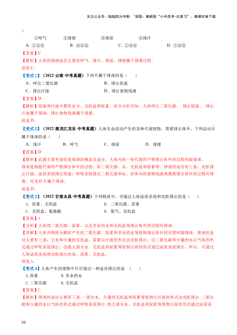 专题13人体内废物的排出（讲义）（解析版）_02中考总复习（2026版更新中）_08-生物-中考总复习_2024年中考复习资料_一轮复习_❤2024年中考生物一轮复习讲练测（全国通用）_讲义