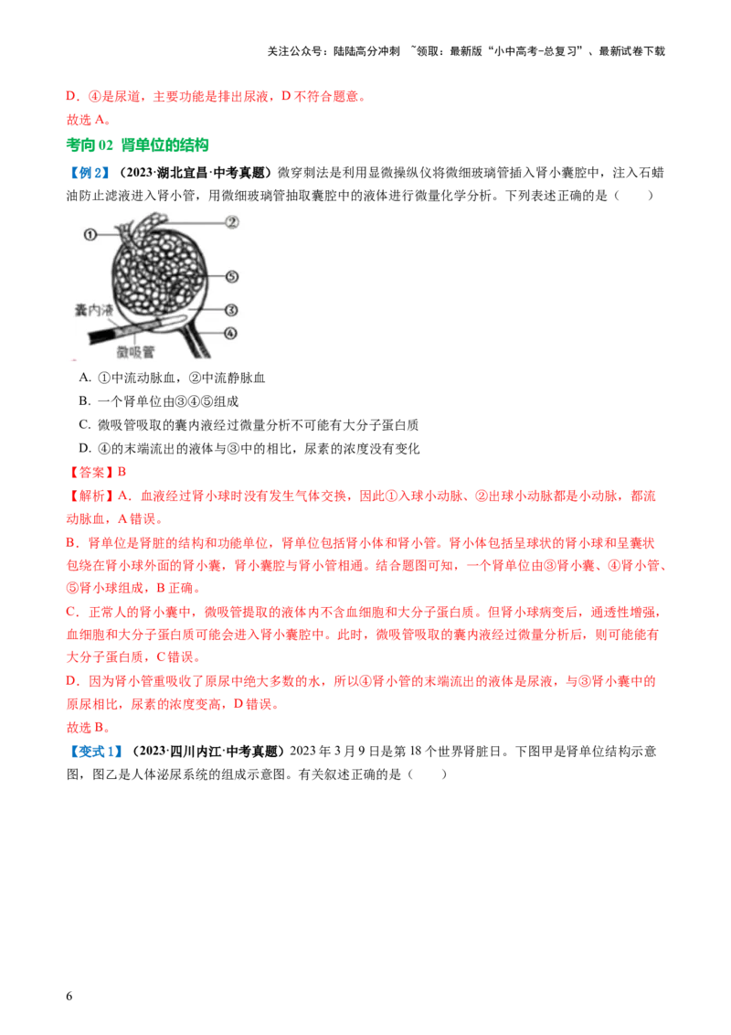 专题13人体内废物的排出（讲义）（解析版）_02中考总复习（2026版更新中）_08-生物-中考总复习_2024年中考复习资料_一轮复习_❤2024年中考生物一轮复习讲练测（全国通用）_讲义