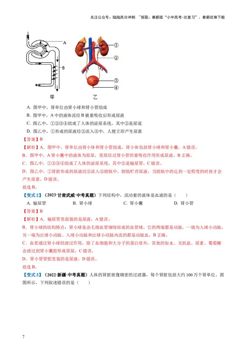 专题13人体内废物的排出（讲义）（解析版）_02中考总复习（2026版更新中）_08-生物-中考总复习_2024年中考复习资料_一轮复习_❤2024年中考生物一轮复习讲练测（全国通用）_讲义