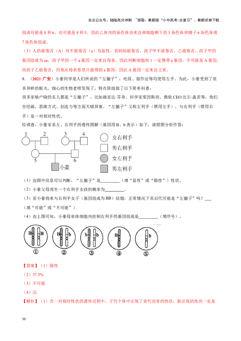 专题13&nbsp;生物的遗传和变异（解析版）_02中考总复习（2026版更新中）_08-生物-中考总复习_2024年中考复习资料_专项复习_完三年（2021-2023）中考生物真题分项汇编（全国通用）_答案解析版