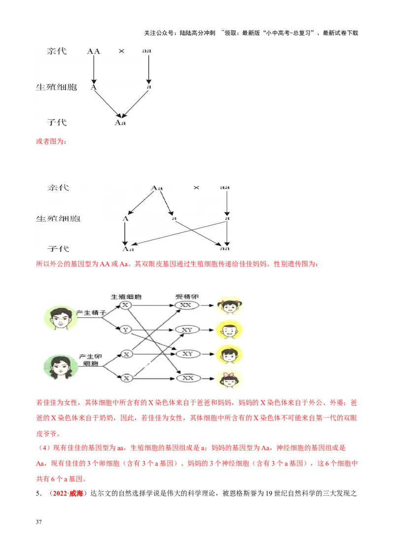专题13&nbsp;生物的遗传和变异（解析版）_02中考总复习（2026版更新中）_08-生物-中考总复习_2024年中考复习资料_专项复习_完三年（2021-2023）中考生物真题分项汇编（全国通用）_答案解析版