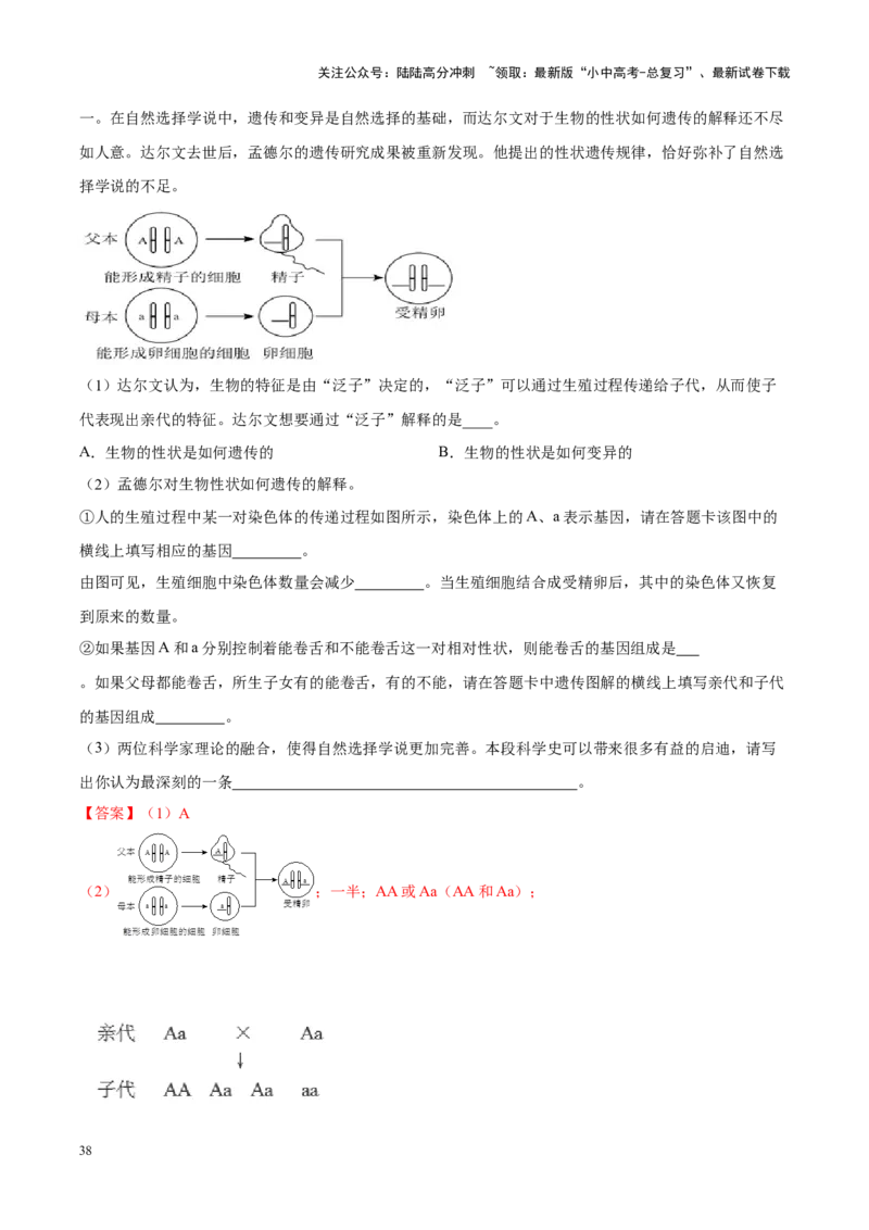 专题13&nbsp;生物的遗传和变异（解析版）_02中考总复习（2026版更新中）_08-生物-中考总复习_2024年中考复习资料_专项复习_完三年（2021-2023）中考生物真题分项汇编（全国通用）_答案解析版
