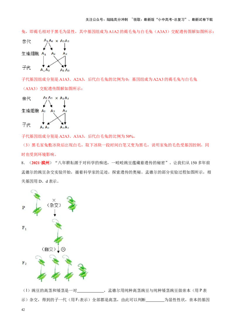 专题13&nbsp;生物的遗传和变异（解析版）_02中考总复习（2026版更新中）_08-生物-中考总复习_2024年中考复习资料_专项复习_完三年（2021-2023）中考生物真题分项汇编（全国通用）_答案解析版
