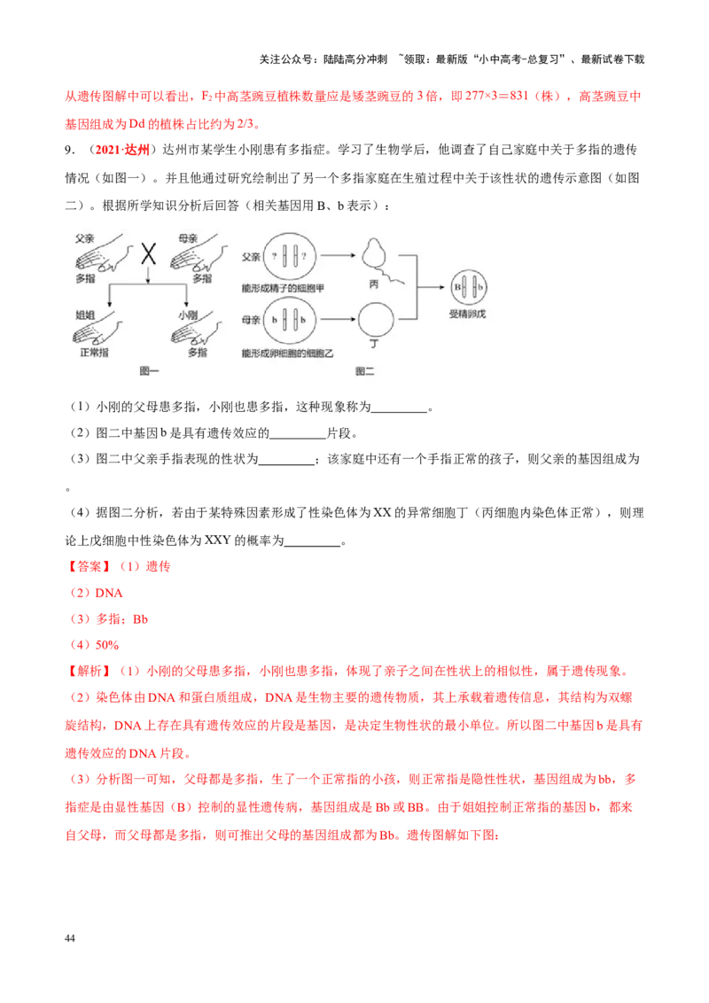 专题13&nbsp;生物的遗传和变异（解析版）_02中考总复习（2026版更新中）_08-生物-中考总复习_2024年中考复习资料_专项复习_完三年（2021-2023）中考生物真题分项汇编（全国通用）_答案解析版