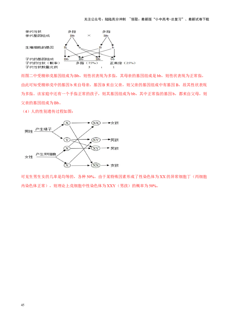 专题13&nbsp;生物的遗传和变异（解析版）_02中考总复习（2026版更新中）_08-生物-中考总复习_2024年中考复习资料_专项复习_完三年（2021-2023）中考生物真题分项汇编（全国通用）_答案解析版