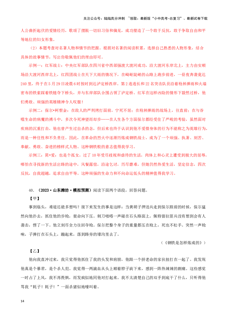 专题13中考名著试题精选60题（二）（解析版）－备战2024年中考语文名著阅读知识（考点）梳理+真题演练_02中考总复习（2026版更新中）_01-语文-中考总复习_2024年中考资料_专项复习资料