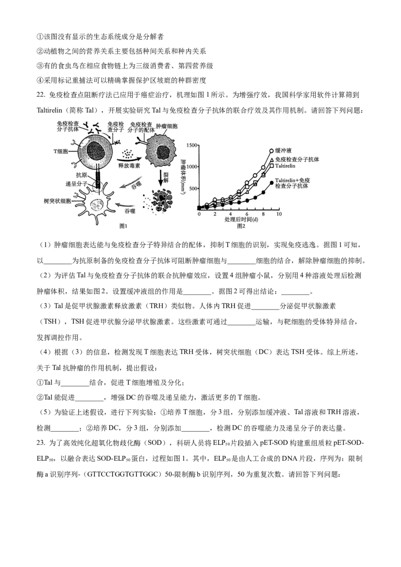 2024年高考生物真题（江苏自主命题）（原卷版）_全国卷+地方卷_6.生物_1.生物高考真题试卷_2024年高考-生物_2024年江苏自主命题-生物