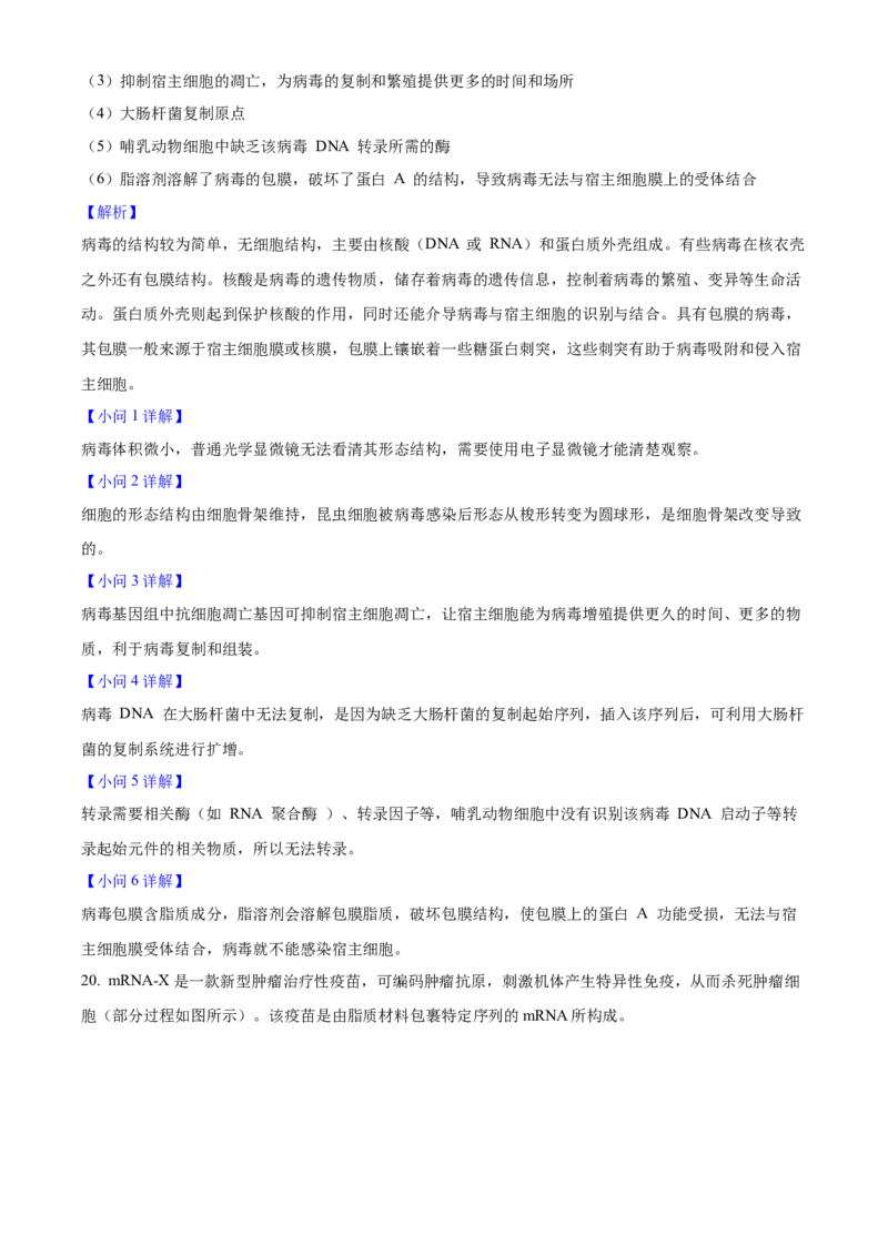 2025年高考生物真题（湖北自主命题）（解析版）_全国卷+地方卷_6.生物_1.生物高考真题试卷_2025年高考-生物_2025年湖北自主命题