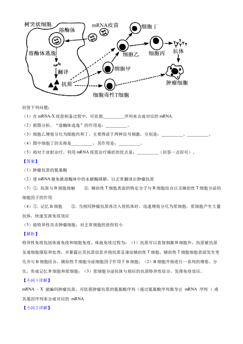 2025年高考生物真题（湖北自主命题）（解析版）_全国卷+地方卷_6.生物_1.生物高考真题试卷_2025年高考-生物_2025年湖北自主命题