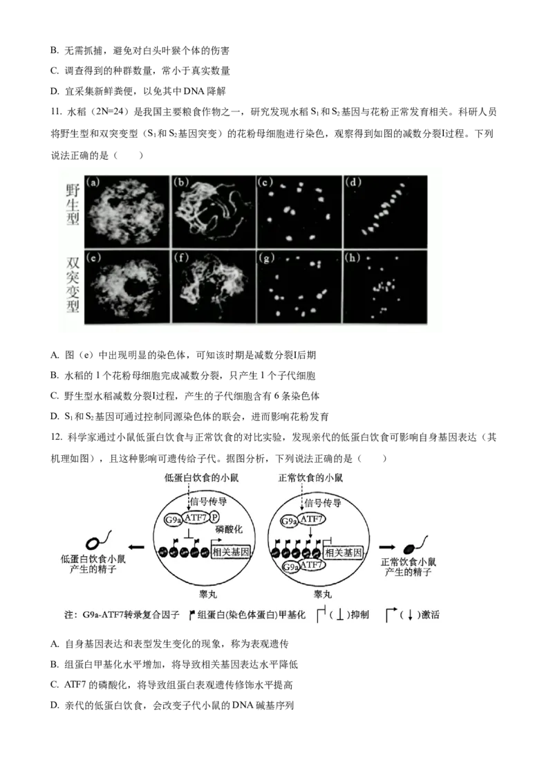 2024年高考生物真题（广西自主命题）（原卷版）_全国卷+地方卷_6.生物_1.生物高考真题试卷_2024年高考-生物_2024年广西自主命题-生物