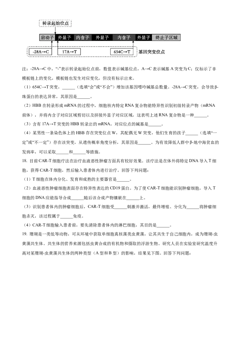 2024年高考生物真题（广西自主命题）（原卷版）_全国卷+地方卷_6.生物_1.生物高考真题试卷_2024年高考-生物_2024年广西自主命题-生物