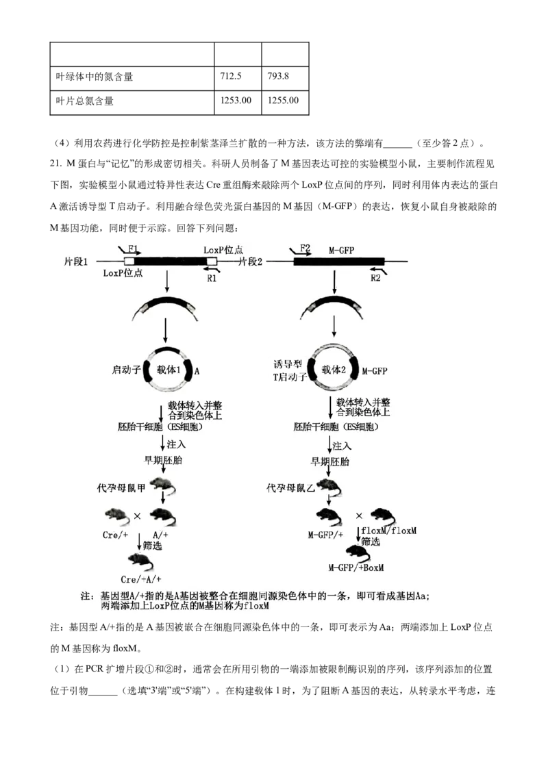 2024年高考生物真题（广西自主命题）（原卷版）_全国卷+地方卷_6.生物_1.生物高考真题试卷_2024年高考-生物_2024年广西自主命题-生物