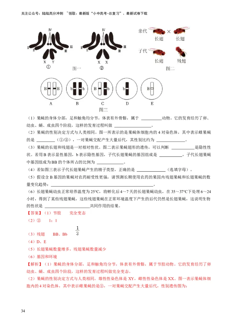 专题14生物遗传和变异、生命起源和进化（解析版）_02中考总复习（2026版更新中）_08-生物-中考总复习_2024年中考复习资料_专项复习_备战2024年中考生物真题题源解密