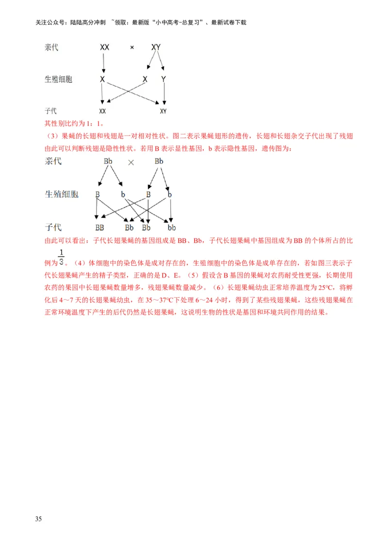 专题14生物遗传和变异、生命起源和进化（解析版）_02中考总复习（2026版更新中）_08-生物-中考总复习_2024年中考复习资料_专项复习_备战2024年中考生物真题题源解密