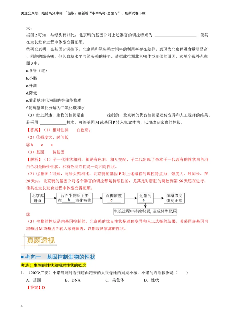 专题14生物遗传和变异、生命起源和进化（解析版）_02中考总复习（2026版更新中）_08-生物-中考总复习_2024年中考复习资料_专项复习_备战2024年中考生物真题题源解密