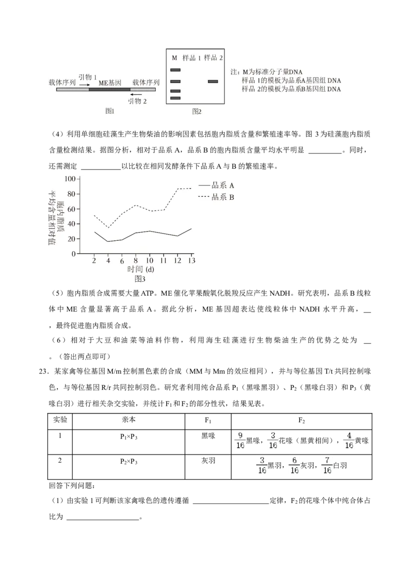 2023年高考生物真题（河北自主命题）（原卷版）_全国卷+地方卷_6.生物_1.生物高考真题试卷_2023年高考-生物_2023年河北自主命题