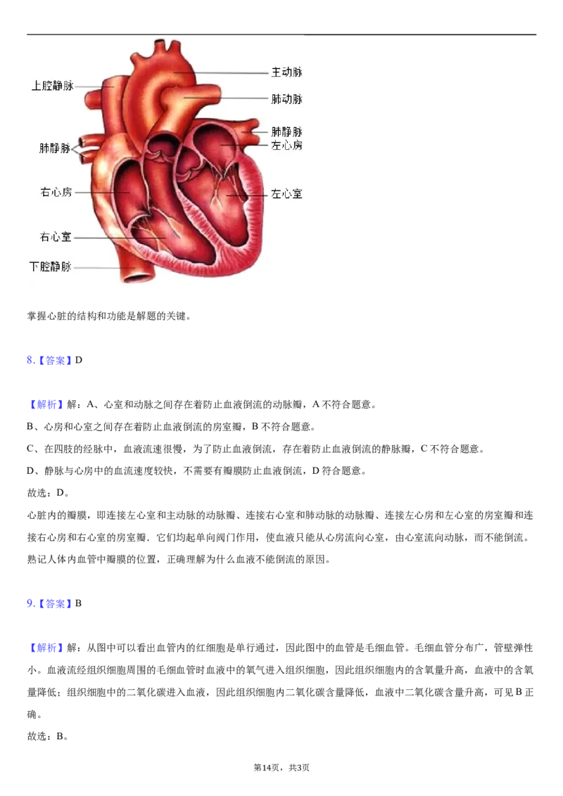 北京市朝阳区2020-2021学年七年级下学期生物期末试卷(1)_北京初中期末题_C605-京七八九_B京生物七八九_北京7下生物_2020-2021