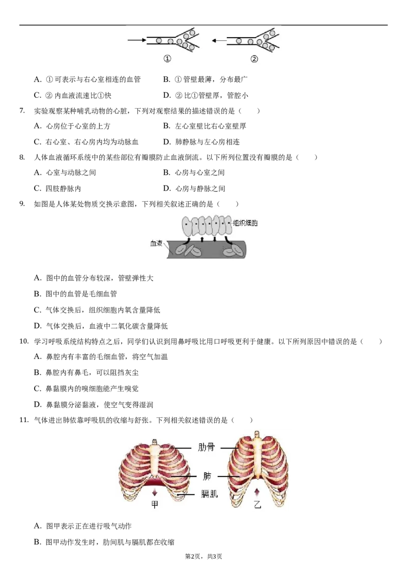 北京市朝阳区2020-2021学年七年级下学期生物期末试卷(1)_北京初中期末题_C605-京七八九_B京生物七八九_北京7下生物_2020-2021
