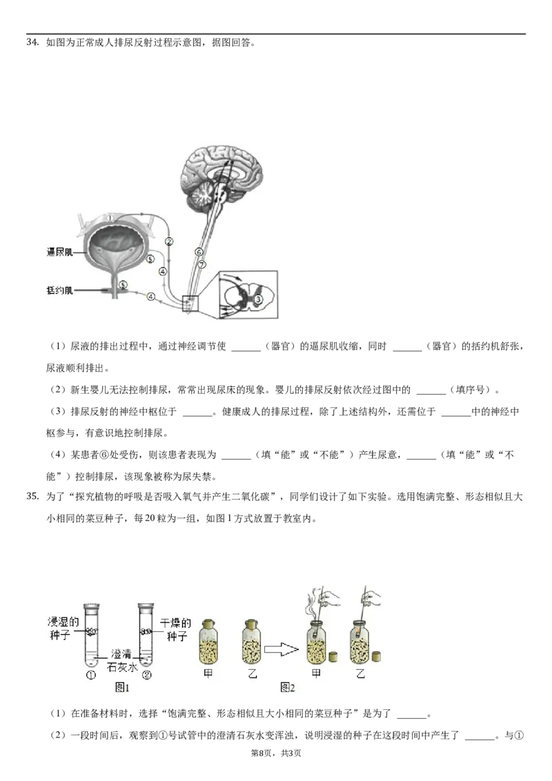 北京市朝阳区2020-2021学年七年级下学期生物期末试卷(1)_北京初中期末题_C605-京七八九_B京生物七八九_北京7下生物_2020-2021