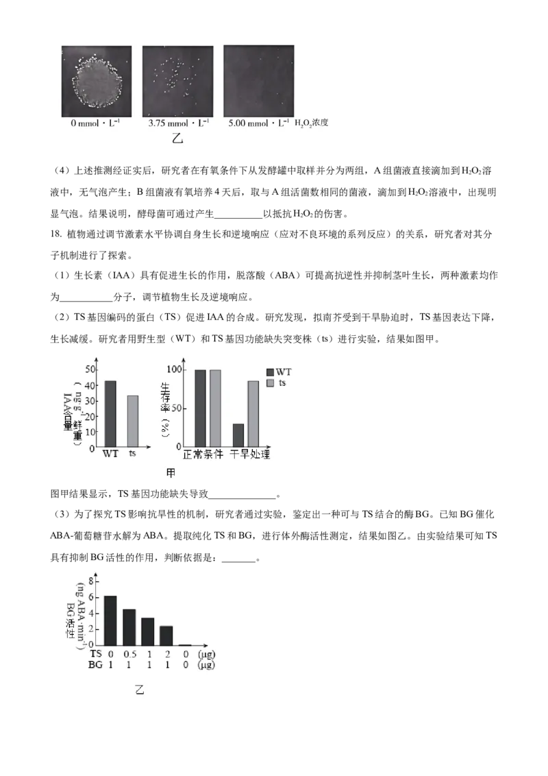 2024年高考生物真题（北京自主命题）（原卷版）_全国卷+地方卷_6.生物_1.生物高考真题试卷_2024年高考-生物_2024年北京自主命题-生物