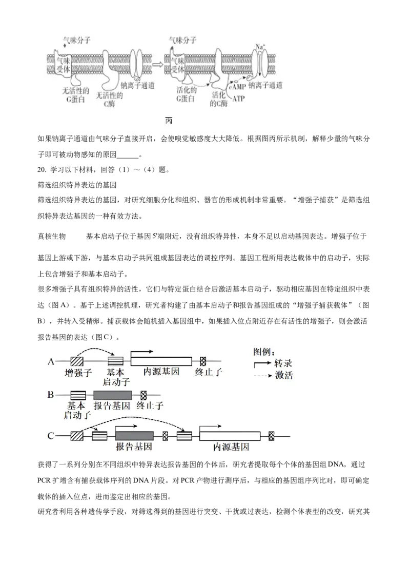2024年高考生物真题（北京自主命题）（原卷版）_全国卷+地方卷_6.生物_1.生物高考真题试卷_2024年高考-生物_2024年北京自主命题-生物