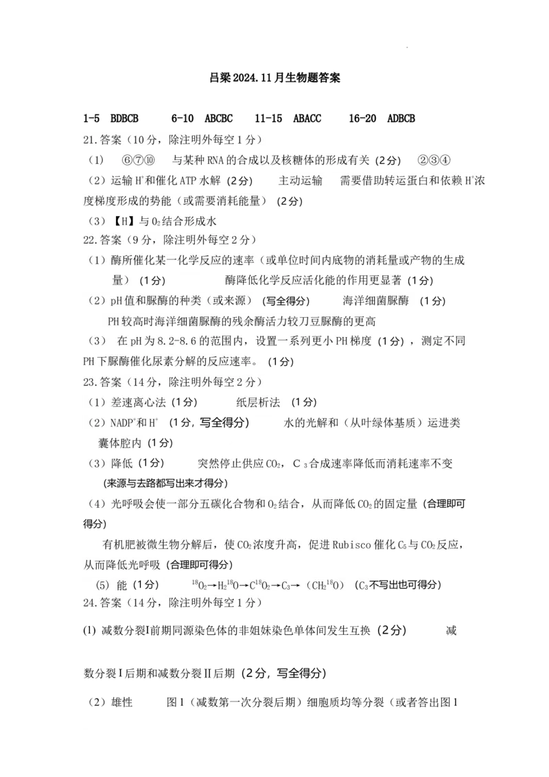 202411生物答案_A1502026各地模拟卷（超值！）_11月_241102山西省吕梁市2024-2025学年高三上学期11月期中_山西省吕梁市2024-2025学年高三上学期11月期中生物试题