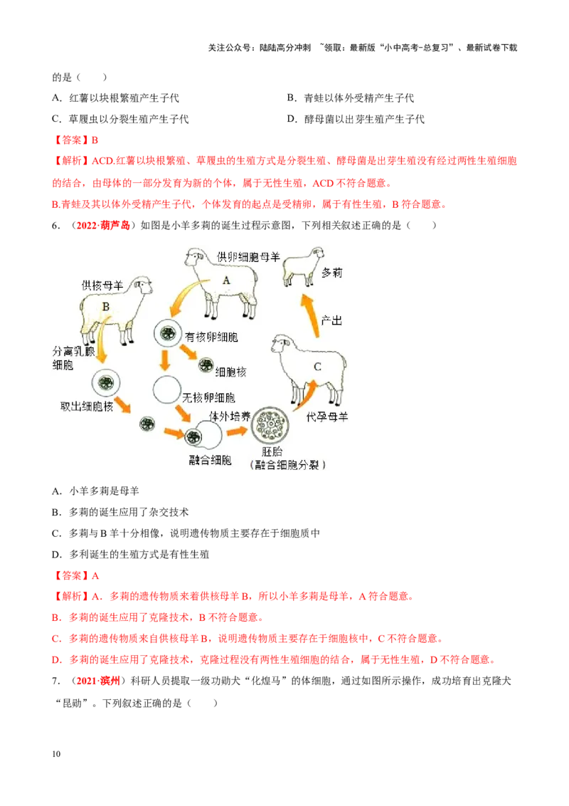 专题15&nbsp;生物技术（解析版）_02中考总复习（2026版更新中）_08-生物-中考总复习_2024年中考复习资料_专项复习_完三年（2021-2023）中考生物真题分项汇编（全国通用）_答案解析版