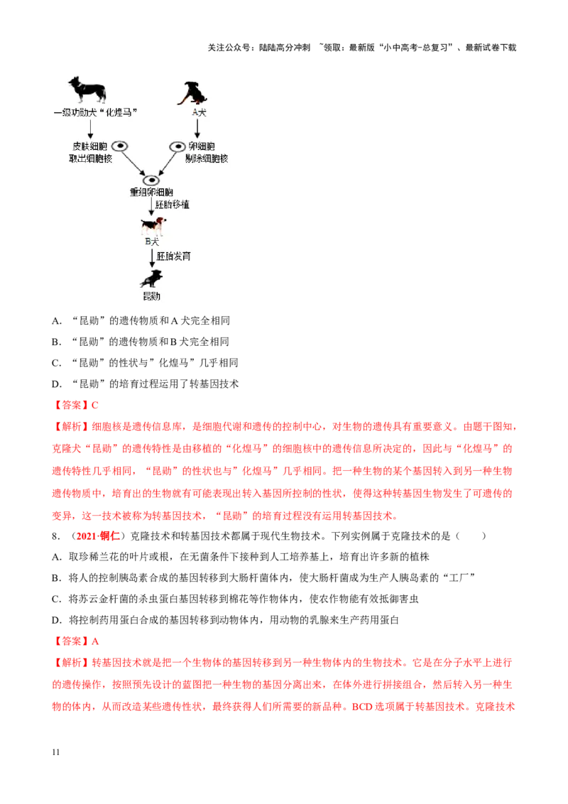 专题15&nbsp;生物技术（解析版）_02中考总复习（2026版更新中）_08-生物-中考总复习_2024年中考复习资料_专项复习_完三年（2021-2023）中考生物真题分项汇编（全国通用）_答案解析版