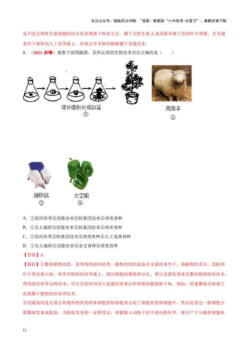 专题15&nbsp;生物技术（解析版）_02中考总复习（2026版更新中）_08-生物-中考总复习_2024年中考复习资料_专项复习_完三年（2021-2023）中考生物真题分项汇编（全国通用）_答案解析版