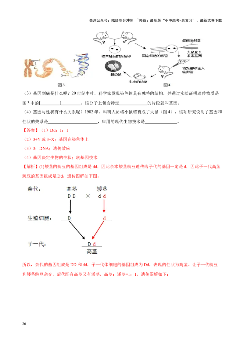 专题15&nbsp;生物技术（解析版）_02中考总复习（2026版更新中）_08-生物-中考总复习_2024年中考复习资料_专项复习_完三年（2021-2023）中考生物真题分项汇编（全国通用）_答案解析版