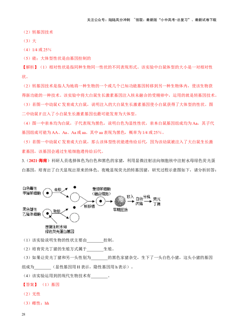 专题15&nbsp;生物技术（解析版）_02中考总复习（2026版更新中）_08-生物-中考总复习_2024年中考复习资料_专项复习_完三年（2021-2023）中考生物真题分项汇编（全国通用）_答案解析版