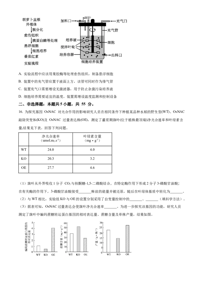 2024年高考生物真题（安徽自主命题）（原卷版）_全国卷+地方卷_6.生物_1.生物高考真题试卷_2024年高考-生物_2024年安徽自主命题-生物