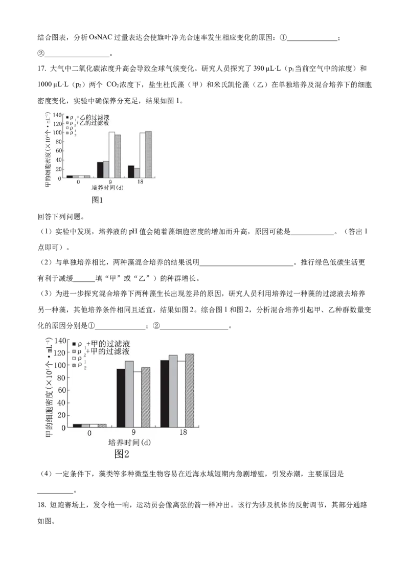 2024年高考生物真题（安徽自主命题）（原卷版）_全国卷+地方卷_6.生物_1.生物高考真题试卷_2024年高考-生物_2024年安徽自主命题-生物