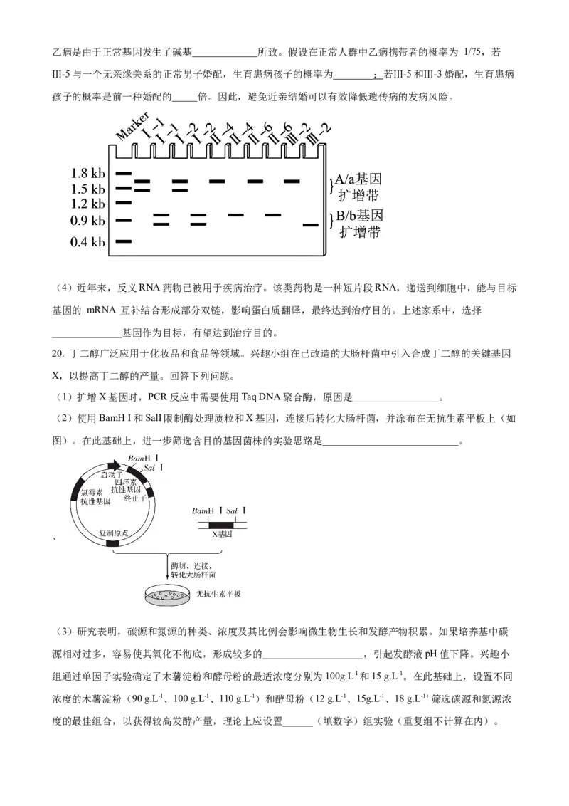 2024年高考生物真题（安徽自主命题）（原卷版）_全国卷+地方卷_6.生物_1.生物高考真题试卷_2024年高考-生物_2024年安徽自主命题-生物