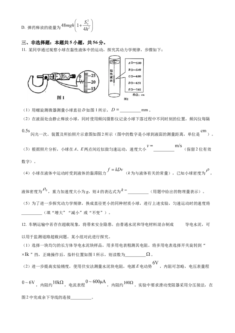 2025年高考物理真题（湖南自主命题）（原卷版）_全国卷+地方卷_4.物理_1.物理高考真题试卷_2025年高考-物理_2025年湖南自主命题