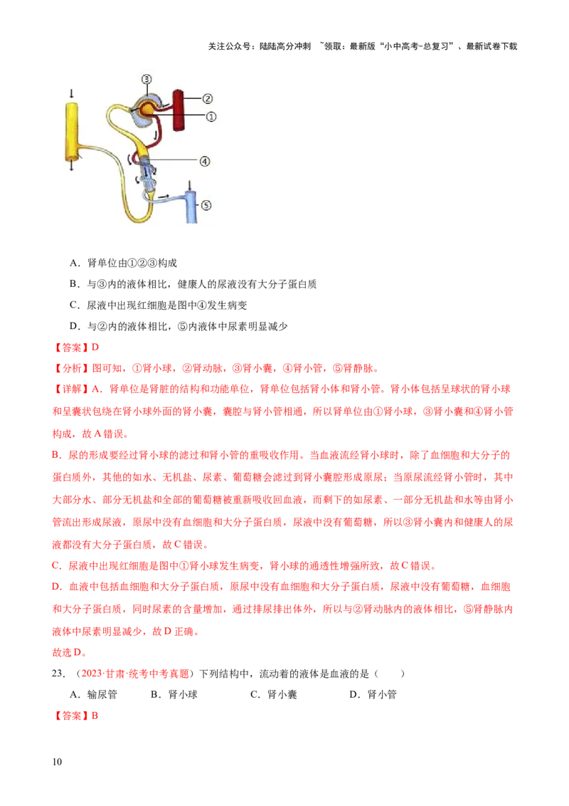 专题13人体内废物的排出（解析版）_02中考总复习（2026版更新中）_08-生物-中考总复习_2024年中考复习资料_一轮复习_❤备战2024年中考生物一轮复习考点帮（全国通用）_练习
