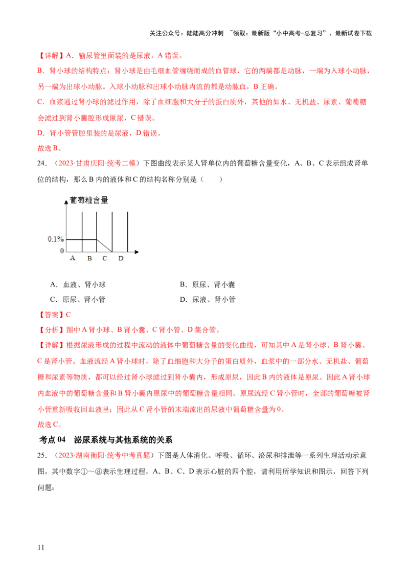 专题13人体内废物的排出（解析版）_02中考总复习（2026版更新中）_08-生物-中考总复习_2024年中考复习资料_一轮复习_❤备战2024年中考生物一轮复习考点帮（全国通用）_练习