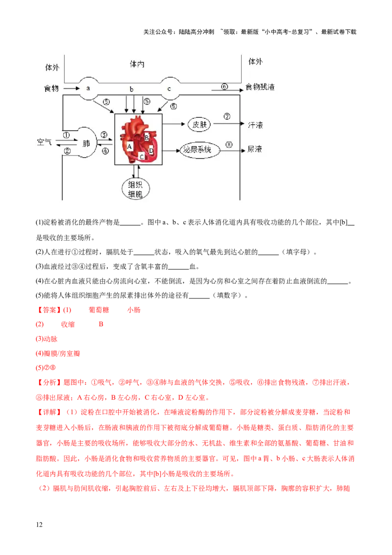 专题13人体内废物的排出（解析版）_02中考总复习（2026版更新中）_08-生物-中考总复习_2024年中考复习资料_一轮复习_❤备战2024年中考生物一轮复习考点帮（全国通用）_练习