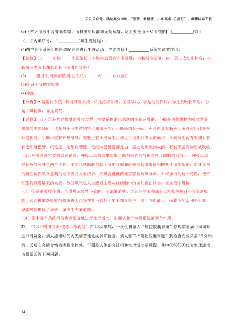 专题13人体内废物的排出（解析版）_02中考总复习（2026版更新中）_08-生物-中考总复习_2024年中考复习资料_一轮复习_❤备战2024年中考生物一轮复习考点帮（全国通用）_练习