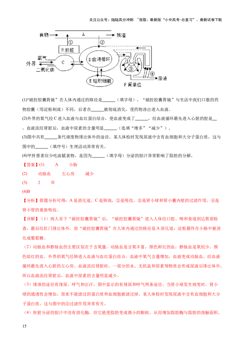 专题13人体内废物的排出（解析版）_02中考总复习（2026版更新中）_08-生物-中考总复习_2024年中考复习资料_一轮复习_❤备战2024年中考生物一轮复习考点帮（全国通用）_练习