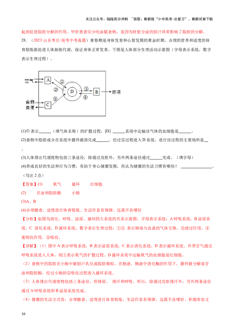 专题13人体内废物的排出（解析版）_02中考总复习（2026版更新中）_08-生物-中考总复习_2024年中考复习资料_一轮复习_❤备战2024年中考生物一轮复习考点帮（全国通用）_练习